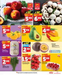 Gazetka promocyjna Topaz - Gazetka - Gazetka - ważna od 22.07 do 22.07.2026 - strona 15 - produkty: Piec, Top, Pieczarka, Grill, Mango