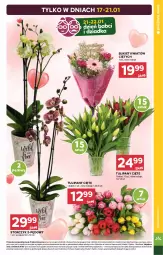 Gazetka promocyjna Stokrotka - Supermarket - Gazetka - ważna od 21.01 do 21.01.2026 - strona 7 - produkty: Warzywa, Sok, Tulipan, Optima, Storczyk, Bukiet, Owoce, Mięso