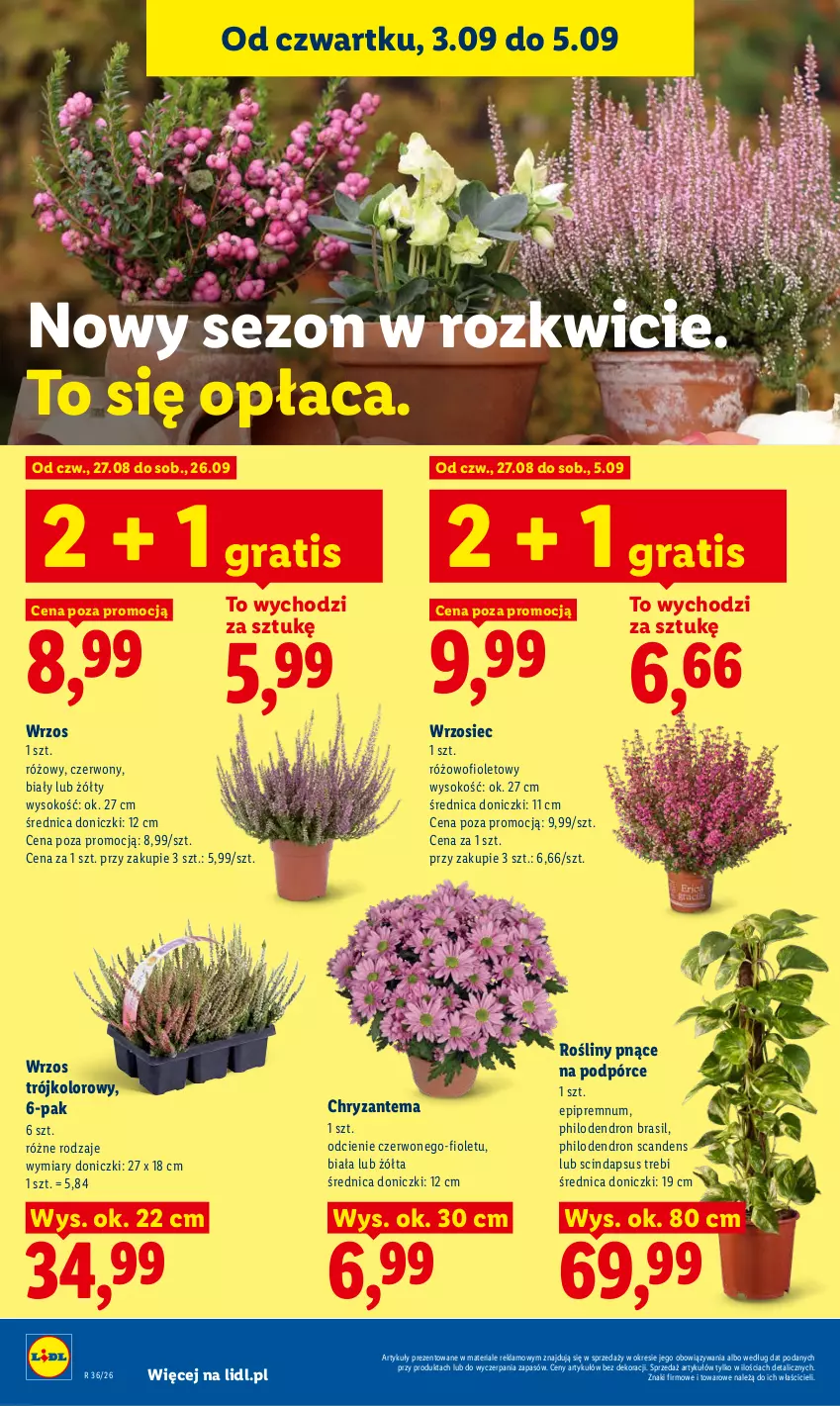 Gazetka promocyjna Lidl - Gazetka ważna od 3.09 do 5.09 - ważna 03.09 do 05.09.2026 - strona 90 - produkty: Chryzantema, Dron, Gra, Sok