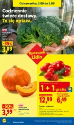 Gazetka promocyjna Lidl - Gazetka ważna od 3.09 do 5.09 - Gazetka - ważna od 05.09 do 05.09.2026 - strona 40 - produkty: Gra, Brokuły, Pomidory
