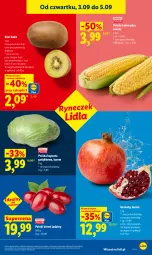 Gazetka promocyjna Lidl - Gazetka ważna od 3.09 do 5.09 - Gazetka - ważna od 05.09 do 05.09.2026 - strona 41 - produkty: Gra, Granat, Kiwi, Dereń, Kukurydza