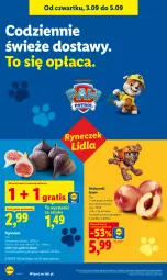 Gazetka promocyjna Lidl - Gazetka ważna od 3.09 do 5.09 - Gazetka - ważna od 05.09 do 05.09.2026 - strona 42 - produkty: Ser, Gra, Figi, Nektar