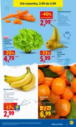 Gazetka promocyjna Lidl - Gazetka ważna od 3.09 do 5.09 - Gazetka - ważna od 05.09 do 05.09.2026 - strona 45 - produkty: Mandarynki, Banany, Sałat, Gruszki