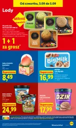 Gazetka promocyjna Lidl - Gazetka ważna od 3.09 do 5.09 - Gazetka - ważna od 05.09 do 05.09.2026 - strona 63 - produkty: Big Milk, Lody, Algida, LG
