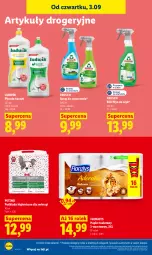 Gazetka promocyjna Lidl - Gazetka ważna od 3.09 do 5.09 - Gazetka - ważna od 05.09 do 05.09.2026 - strona 88 - produkty: Ludwik, Frosch, Spray do czyszczenia, Papier, Papier toaletowy, Flora, Płyn do szyb, Podkład