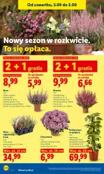 Gazetka promocyjna Lidl - Gazetka ważna od 3.09 do 5.09 - Gazetka - ważna od 05.09 do 05.09.2026 - strona 90 - produkty: Sok, Gra, Chryzantema, Dron