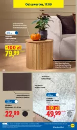Gazetka promocyjna Lidl - Gazetka ważna od 14.09. do 19.09. - Gazetka - ważna od 19.09 do 19.09.2026 - strona 29 - produkty: Gra, Ivar, Wycieraczka, Stolik, Dywan, Grafika