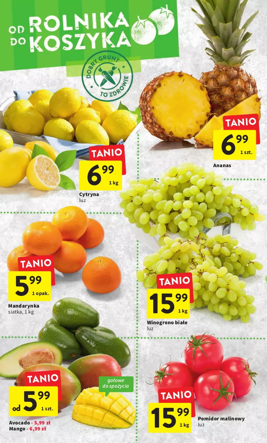 Gazetka promocyjna Intermarche - Gazetka Intermarche - ważna 23.02 do 01.03.2023 - strona 12 - produkty: Ananas, Avocado, Mango, Pomidor malinowy, Siatka, Wino