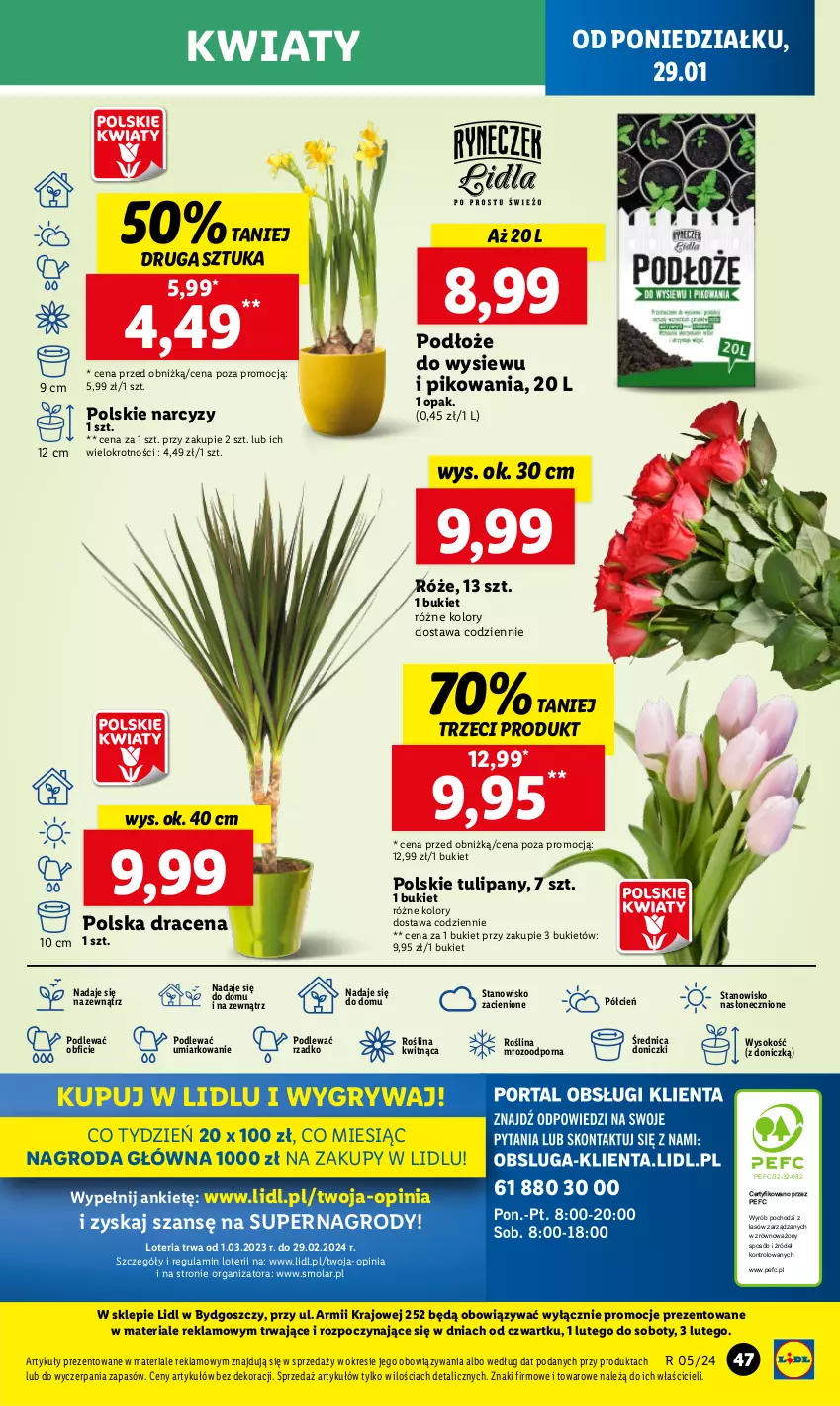 Gazetka promocyjna Lidl - GAZETKA - ważna 29.01 do 31.01.2024 - strona 61 - produkty: Bukiet, Cień, Gry, Mola, Narcyz, O nas, Por, Sok, Tulipan