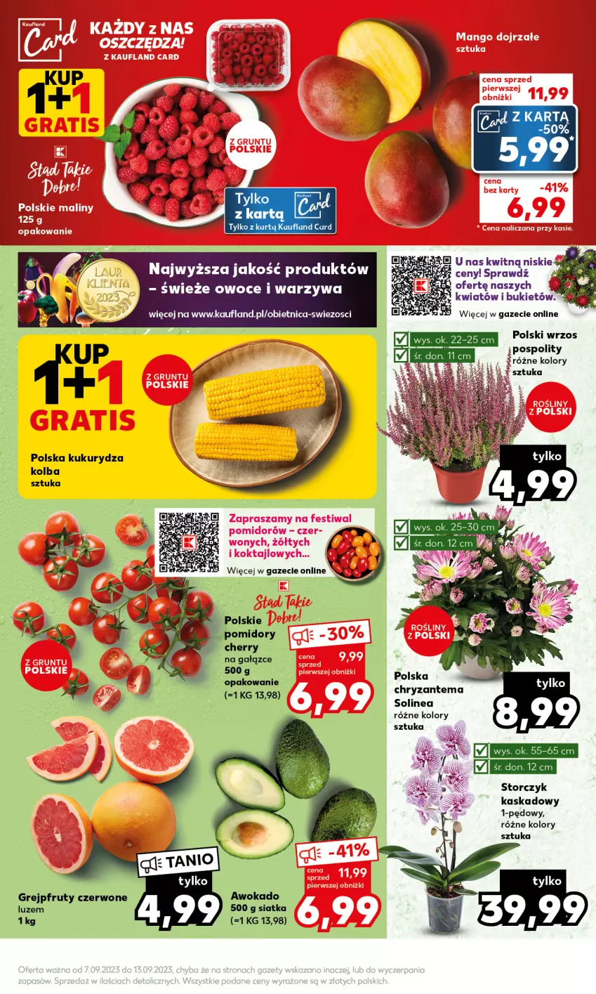 Gazetka promocyjna Kaufland - Mocny Start - ważna 11.09 do 13.09.2023 - strona 7 - produkty: Bukiet, Chryzantema, Grejpfrut, Kask, Kukurydza, Owoce, Pomidory, Siatka, Storczyk, Warzywa