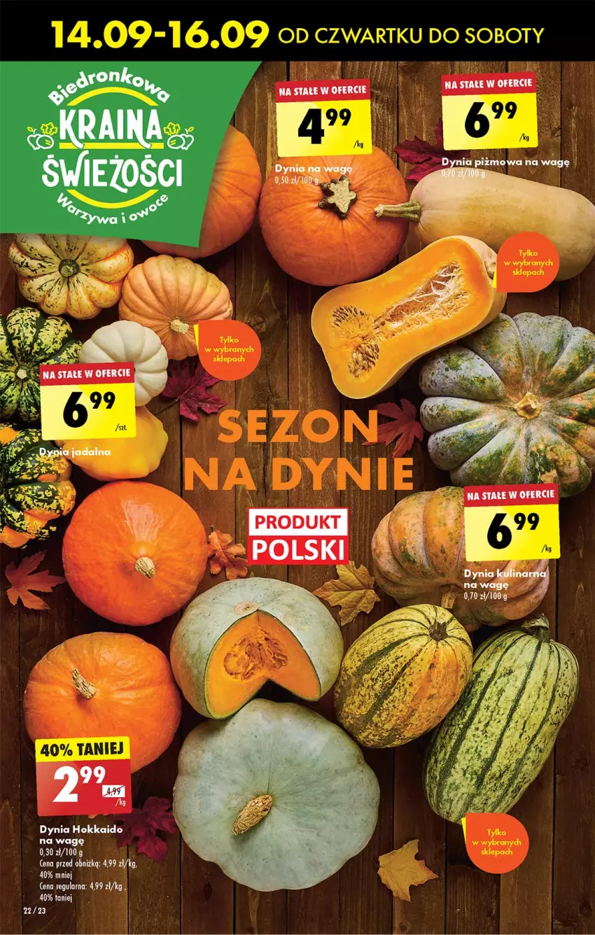 Gazetka promocyjna Biedronka - Od czwartku - ważna 14.09 do 20.09.2023 - strona 22 - produkty: Kask