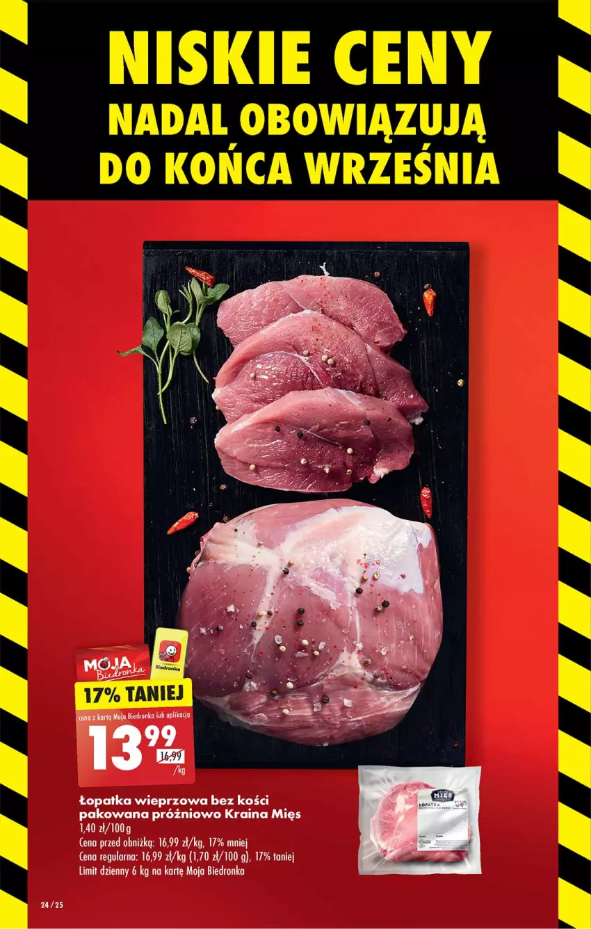 Gazetka promocyjna Biedronka - Od czwartku - ważna 14.09 do 20.09.2023 - strona 24 - produkty: Dron