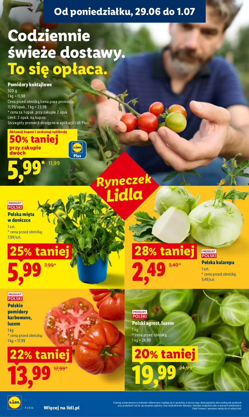 Gazetka promocyjna Lidl - Gazetka ważna od 29.06 do 1.07 - ważna 29.06 do 01.07.2026 - strona 32 - produkty: Gres, Mięta, Pomidory
