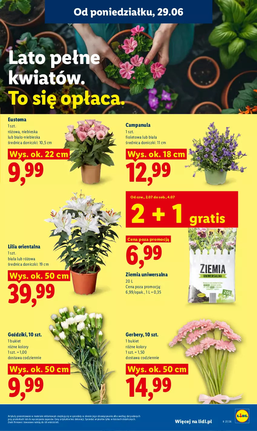 Gazetka promocyjna Lidl - Gazetka ważna od 29.06 do 1.07 - ważna 29.06 do 01.07.2026 - strona 83 - produkty: Bukiet, Campanula, Gerber, Gra