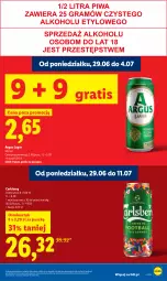 Gazetka promocyjna Lidl - Gazetka ważna od 29.06 do 1.07 - Gazetka - ważna od 01.07 do 01.07.2026 - strona 17 - produkty: Gra, Carlsberg