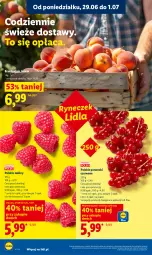 Gazetka promocyjna Lidl - Gazetka ważna od 29.06 do 1.07 - Gazetka - ważna od 01.07 do 01.07.2026 - strona 30 - produkty: Por, Porzeczki czerwone, Maliny, Brzoskwinie