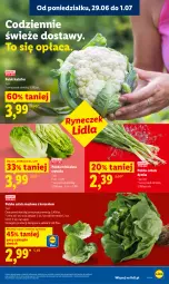 Gazetka promocyjna Lidl - Gazetka ważna od 29.06 do 1.07 - Gazetka - ważna od 01.07 do 01.07.2026 - strona 31 - produkty: Cebula, Kalafior, Sałata masłowa, Sałat, Masło