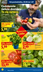 Gazetka promocyjna Lidl - Gazetka ważna od 29.06 do 1.07 - Gazetka - ważna od 01.07 do 01.07.2026 - strona 32 - produkty: Gres, Pomidory, Mięta