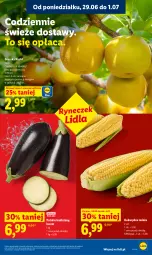 Gazetka promocyjna Lidl - Gazetka ważna od 29.06 do 1.07 - Gazetka - ważna od 01.07 do 01.07.2026 - strona 33 - produkty: Kukurydza