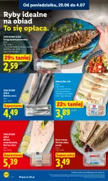 Gazetka promocyjna Lidl - Gazetka ważna od 29.06 do 1.07 - Gazetka - ważna od 01.07 do 01.07.2026 - strona 48 - produkty: Por, Gra, Pstrąg tęczowy, Miruna, Tusz, Pstrąg, Mintaj, Dorsz, Grafika