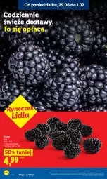 Gazetka promocyjna Lidl - Gazetka ważna od 29.06 do 1.07 - Gazetka - ważna od 01.07 do 01.07.2026 - strona 8 - produkty: Jeżyny