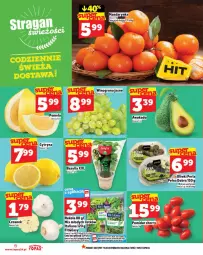 Gazetka promocyjna Topaz - Gazetka - Gazetka - ważna od 26.11 do 26.11.2025 - strona 6 - produkty: Top, Rum, Oliwki, Czosnek, Rukola, Pomelo, Bazyl, Bazylia, Wino