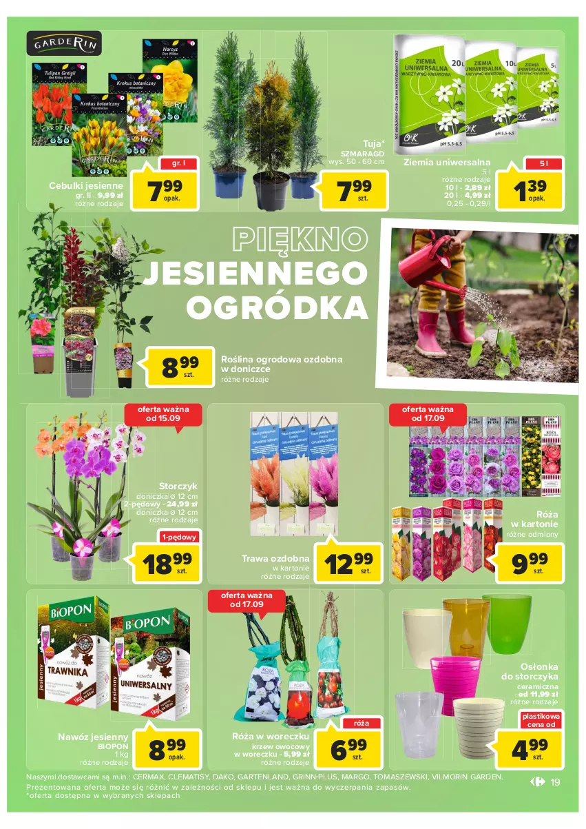 Gazetka promocyjna Carrefour - Gazetka Market - ważna 13.09 do 24.09.2022 - strona 19 - produkty: Nawóz, Ogród, Osłonka, Róża, Storczyk