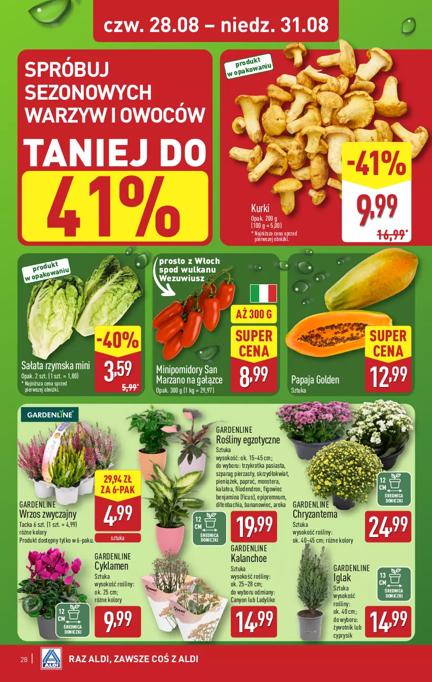 Gazetka promocyjna Aldi - Pełna oferta - ważna 25.08 do 31.08.2025 - strona 28 - produkty: Chia, Chryzantema, Cyklamen, Cyprysik, Dron, Kalanchoe, NBA, Papaja, Pomidory, Sałat, Sok, Tera