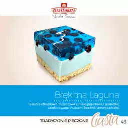 Gazetka promocyjna Topaz - Gazetka - Gazetka - ważna od 31.12 do 31.12.2026 - strona 43 - produkty: Piec, Ciastka