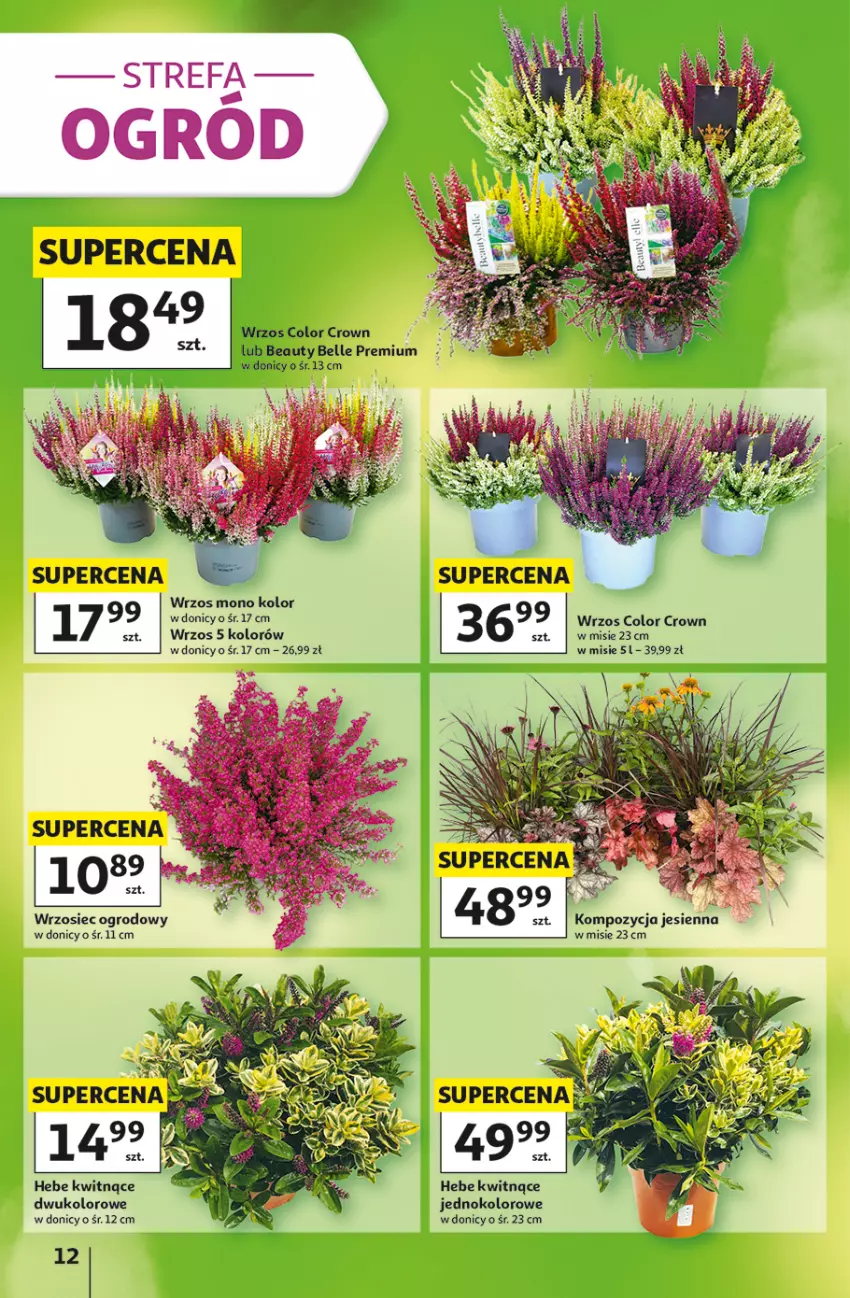 Gazetka promocyjna Auchan - Gazetka 30 Lat Hipermarket Auchan - ważna 03.09 do 09.09.2026 - strona 12 - produkty: Bell