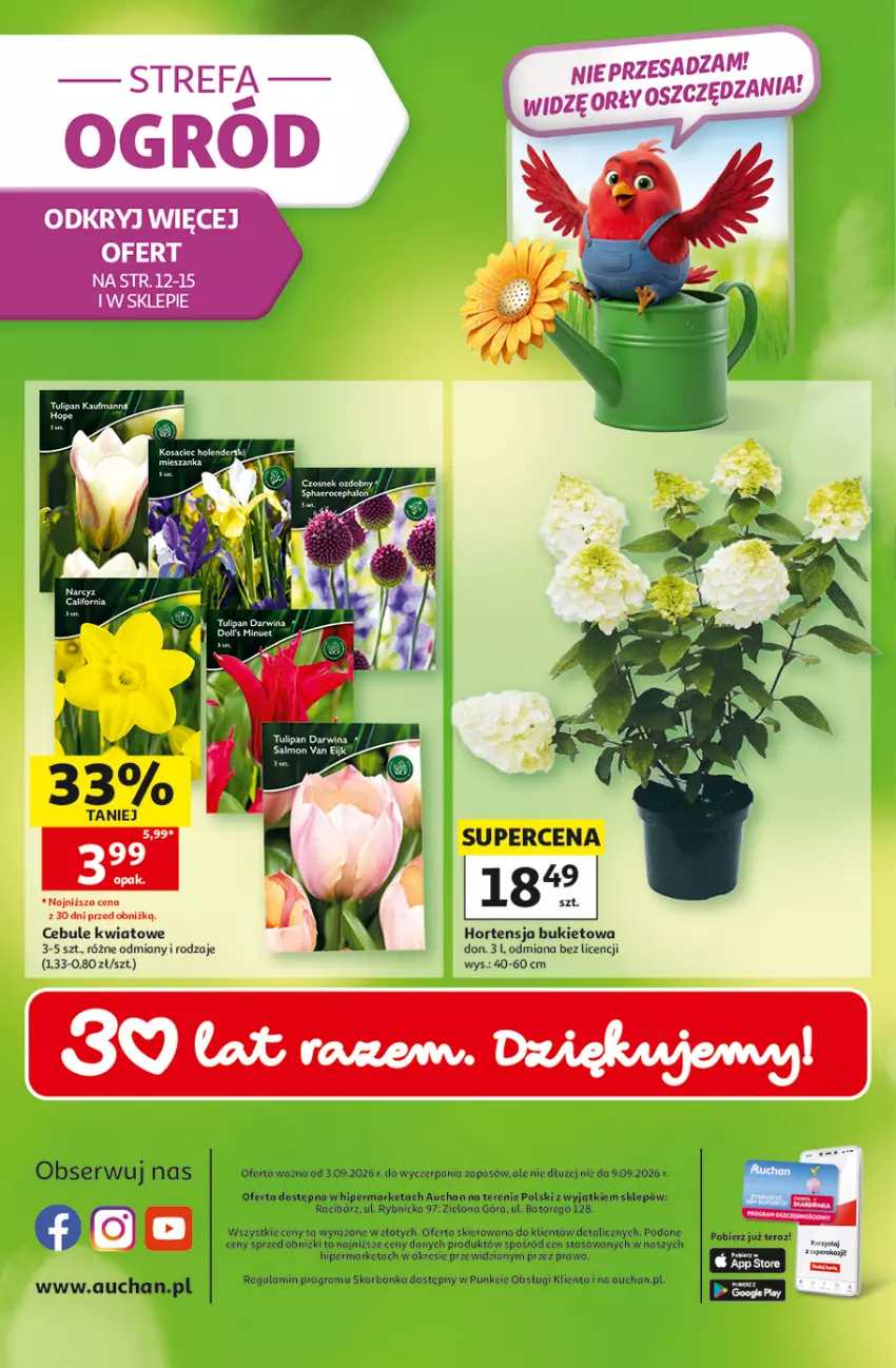 Gazetka promocyjna Auchan - Gazetka 30 Lat Hipermarket Auchan - ważna 03.09 do 09.09.2026 - strona 49 - produkty: Brit, Bukiet, Fa, Gra, LG, Ser, Tarta, Tera, Tulipan
