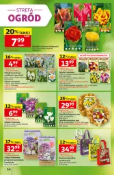 Gazetka promocyjna Auchan - Gazetka 30 Lat Hipermarket Auchan - Gazetka - ważna od 09.09 do 09.09.2026 - strona 14 - produkty: Tulipan, Narcyz, Krokus, Ogród, Miska, Fa