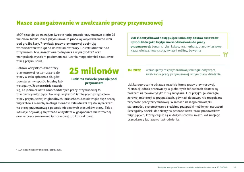 Gazetka promocyjna Lidl - Polityka zakupowa praw człowieka - ważna 27.09.2021 do 29.09.2030 - strona 25 - produkty: Banany, Gra, Herbata, Kakao, Kawa, Kwiaty i rośliny, Lion, Mop, Mus, Olej, Rama, Ryż, Sok, Top, Wełna