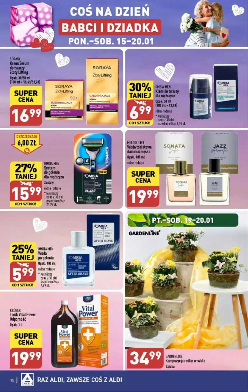 Gazetka promocyjna Aldi - ważna 15.01 do 21.01.2024 - strona 10 - produkty: Por, Tonik