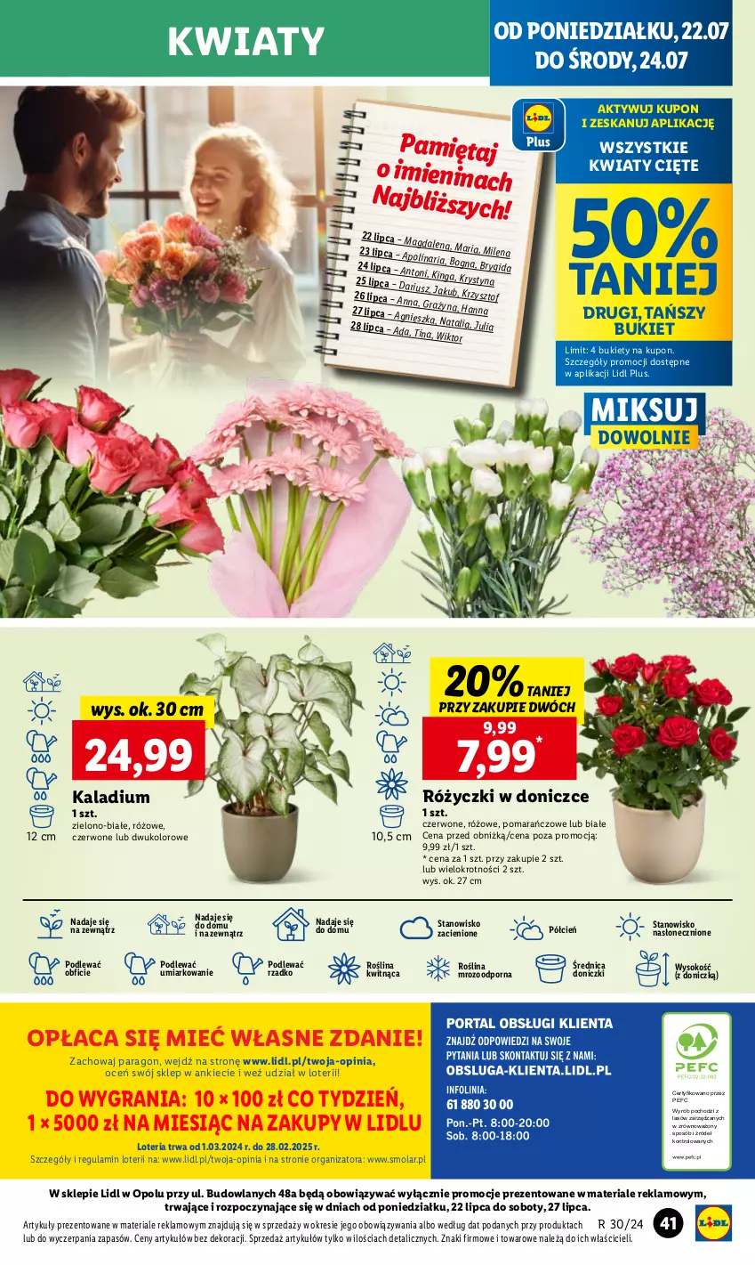 Gazetka promocyjna Lidl - GAZETKA - ważna 22.07 do 24.07.2024 - strona 47 - produkty: Bukiet, Cień, Gra, JBL, Kwiaty cięte, Mięta, Mola, O nas, Por, Sok