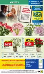 Gazetka promocyjna Lidl - GAZETKA - Gazetka - ważna od 24.07 do 24.07.2024 - strona 47 - produkty: Sok, Por, JBL, Gra, Kwiaty cięte, Cień, O nas, Mola, Bukiet, Mięta