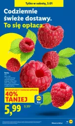 Gazetka promocyjna Lidl - GAZETKA - Gazetka - ważna od 03.01 do 03.01.2026 - strona 17 - produkty: Maliny