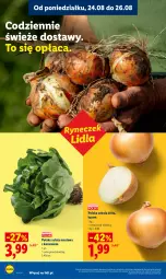 Gazetka promocyjna Lidl - Gazetka ważna od 24.08 do 26.08 - Gazetka - ważna od 26.08 do 26.08.2026 - strona 38 - produkty: Cebula, Sałata masłowa, Sałat, Masło