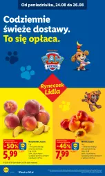 Gazetka promocyjna Lidl - Gazetka ważna od 24.08 do 26.08 - Gazetka - ważna od 26.08 do 26.08.2026 - strona 40 - produkty: Ser, Brzoskwinie