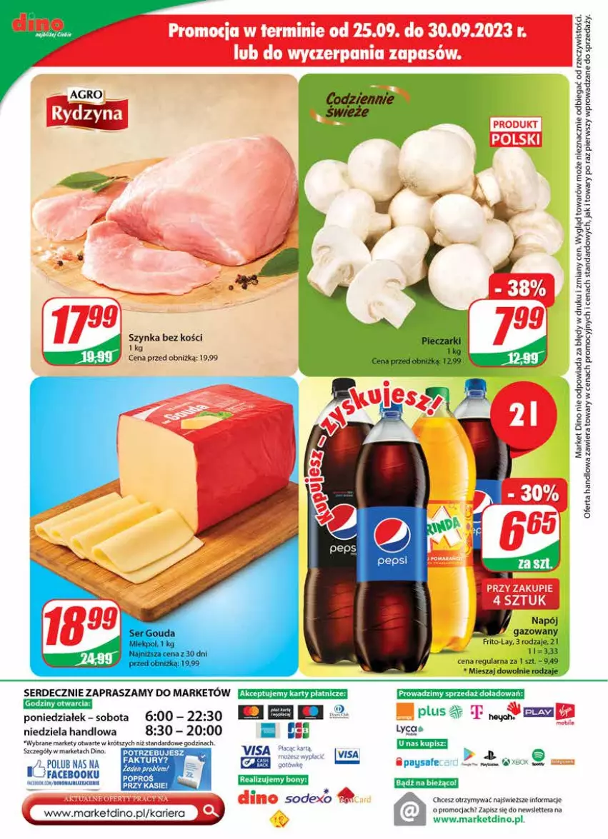 Gazetka promocyjna Dino - Gazetka 39 - ważna 27.09 do 03.10.2023 - strona 24 - produkty: Fa, Gouda, Napój, Napój gazowany, Ser, Szynka, Tera