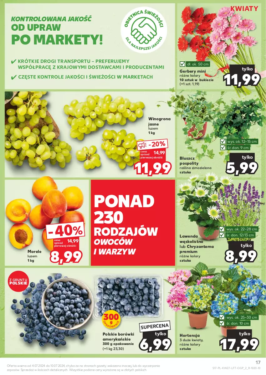 Gazetka promocyjna Kaufland - Gazetka tygodnia - ważna 04.07 do 10.07.2024 - strona 17 - produkty: Chryzantema, Gerber, Grunt, Por, Sport, Tran, Wino, Winogrona