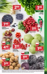 Gazetka promocyjna Stokrotka - Market Opole/Radom - Gazetka - ważna od 13.11 do 13.11.2024 - strona 9 - produkty: Warzywa, Por, Sałata masłowa, Ziemniaki, Sałat, Owoce, Masło, Pomidory, Rzodkiewka, Mięso, Jabłka