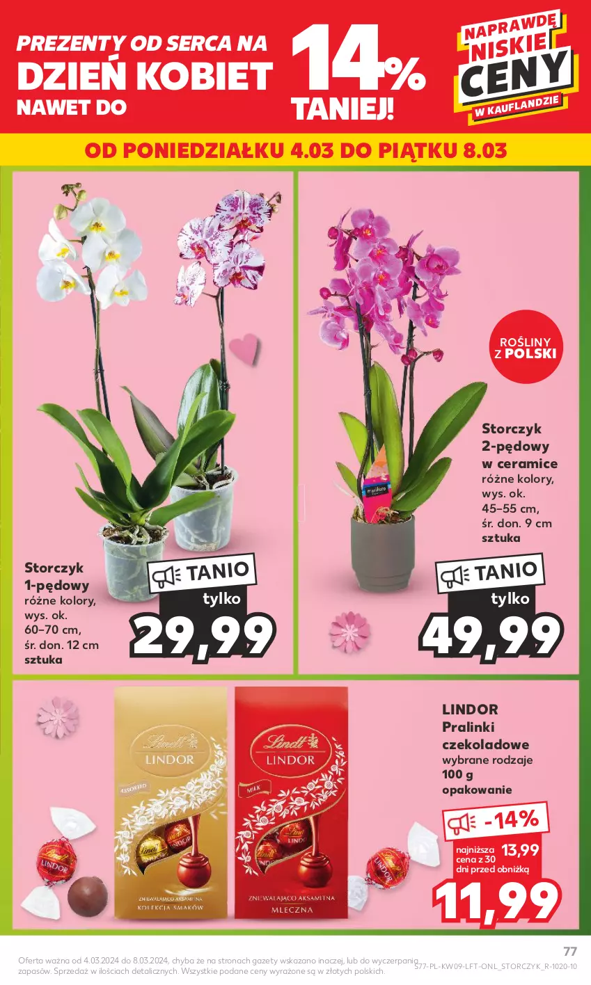 Gazetka promocyjna Kaufland - Gazetka tygodnia - ważna 29.02 do 06.03.2024 - strona 77 - produkty: Lindor, Ser, Storczyk