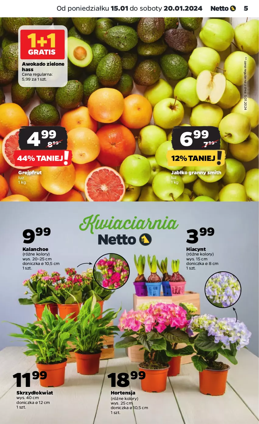 Gazetka promocyjna Netto - Artykuły spożywcze - ważna 15.01 do 20.01.2024 - strona 5 - produkty: Gra, Grejpfrut, Hiacynt, Kalanchoe