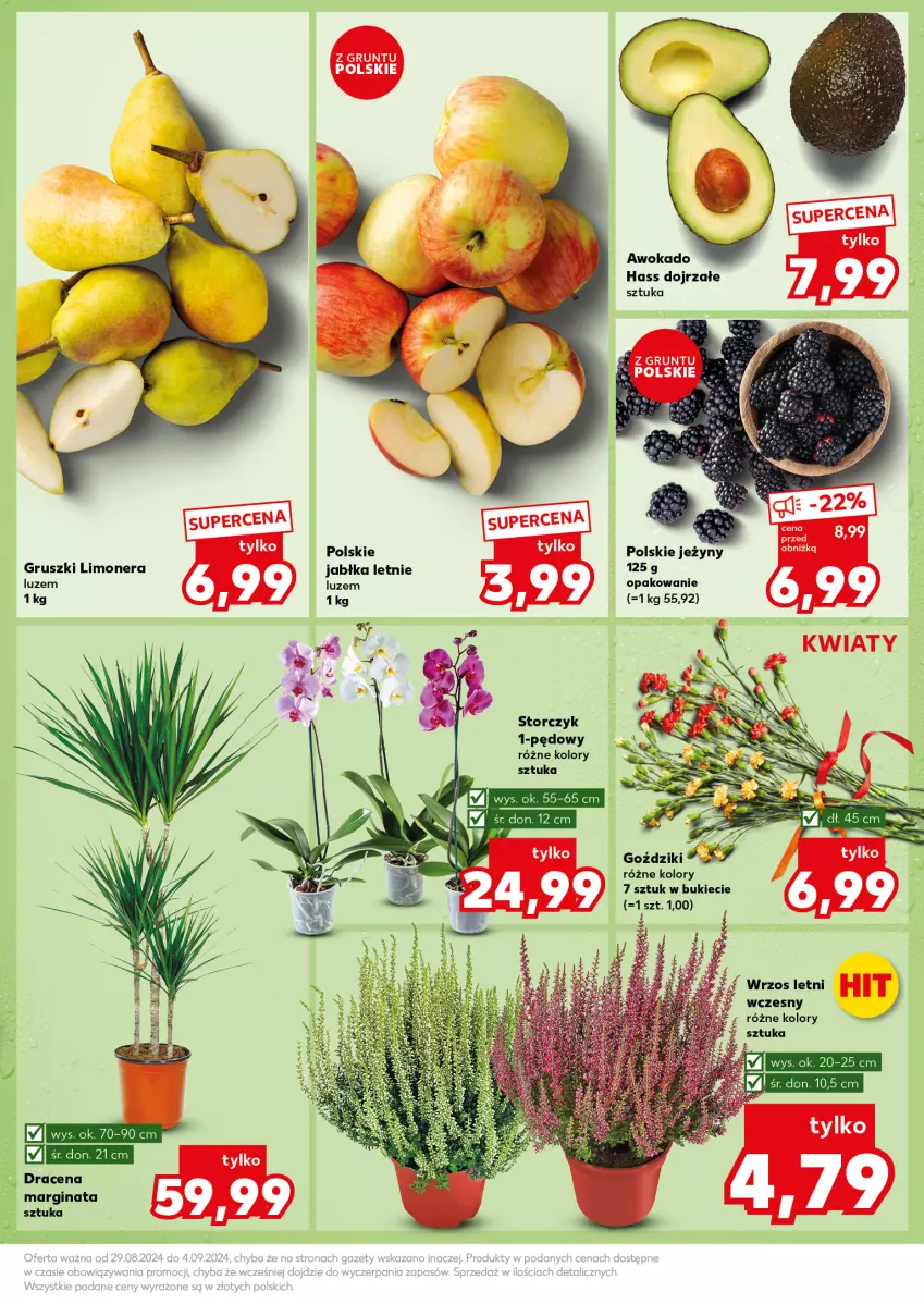 Gazetka promocyjna Kaufland - Kaufland - ważna 02.09 do 04.09.2024 - strona 9 - produkty: Gin, Gruszki, Jabłka, Jeżyny, Storczyk