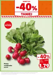 Gazetka promocyjna Kaufland - Kaufland - Gazetka - ważna od 04.09 do 04.09.2024 - strona 7 - produkty: Rzodkiewka