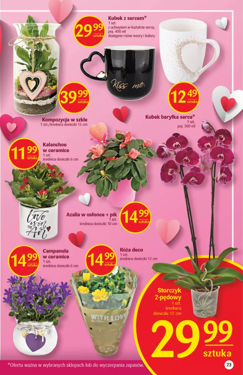 Gazetka promocyjna Delikatesy Centrum - Gazetka DC06 - ważna 10.02 do 16.02.2022 - strona 23 - produkty: Campanula, Kalanchoe, Kubek, Róża, Ser