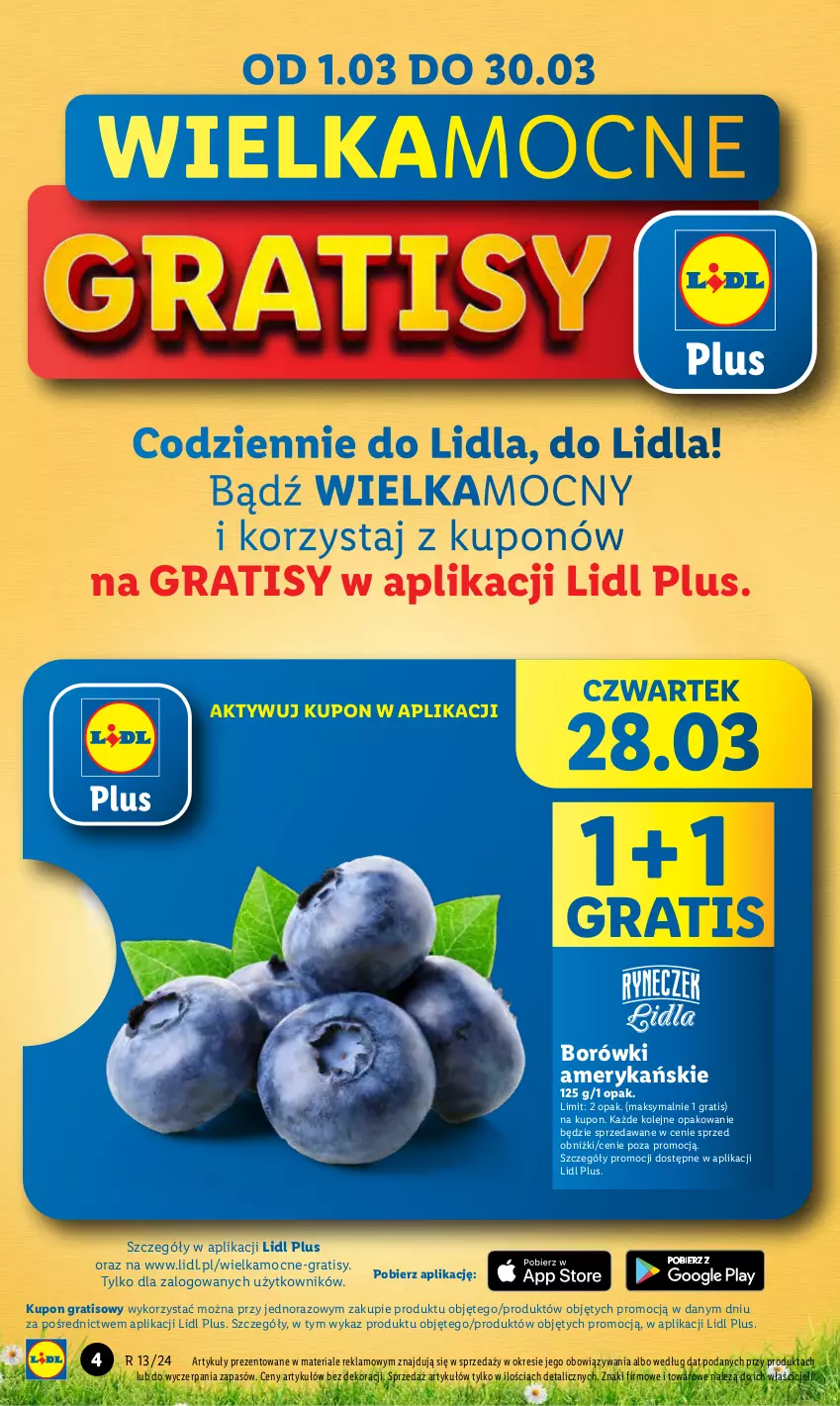 Gazetka promocyjna Lidl - GAZETKA - ważna 28.03 do 30.03.2024 - strona 4 - produkty: Gra, Olej