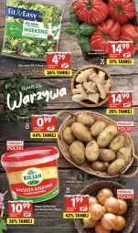 Gazetka promocyjna Delikatesy Centrum - Franczyza DC04 Czwartek - Gazetka - ważna od 28.01 do 28.01.2026 - strona 5 - produkty: Cebula, Ser, Ziemniaki, Sałat, Wiadro, Fa