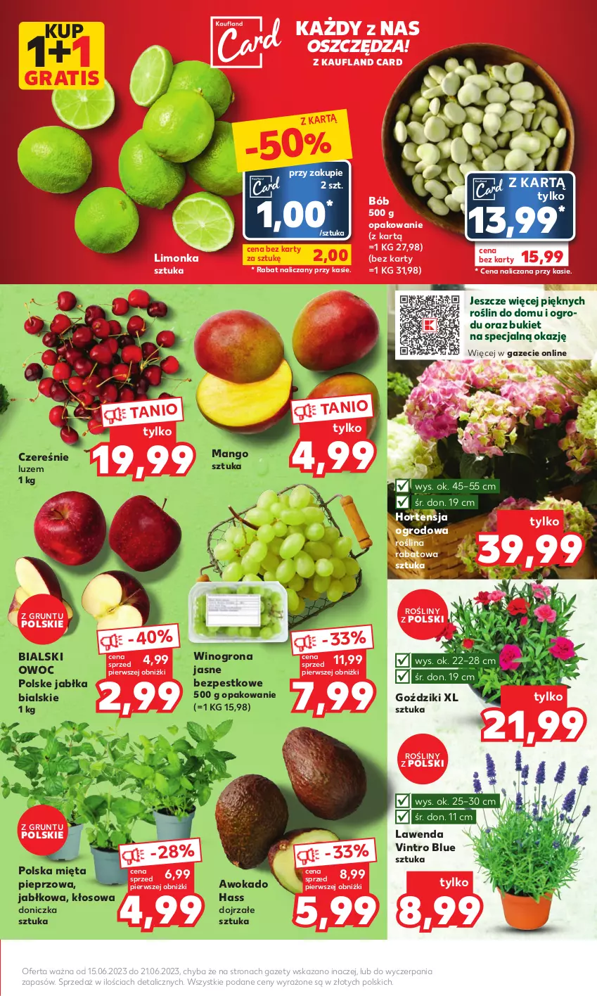 Gazetka promocyjna Kaufland - Mocny Start - ważna 19.06 do 21.06.2023 - strona 7 - produkty: Bukiet, Gra, Grunt, Jabłka, Limonka, Mango, Mięta, Pieprz, Wino, Winogrona